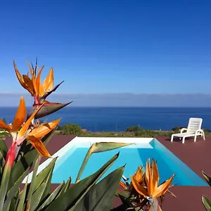 https://dragos-del-mar-espacio-natural.in-canary-islands.com